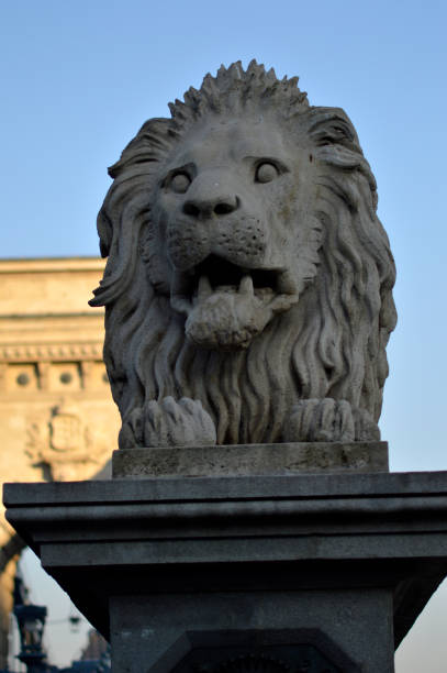 istock Chain Bridge in Budapest in daylight 2192627379