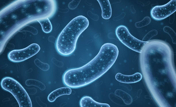 3d probiotic bacteria. Microbiome flora, lactobacillus acidophilus 3d probiotic bacteria. Microbiome flora, lactobacillus acidophilus, microbiology research, bifidobacterium cell, microbe germ, bacterium culture, bifidobacteria growth, lactic fermentation probiotic. microbiome stock illustrations