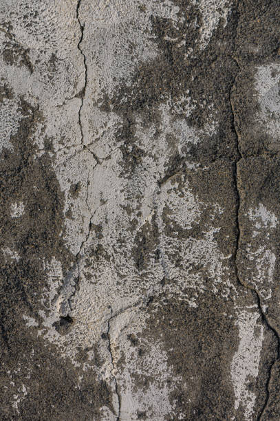 Textured wall displaying cracks and rough surfaces in neutral colors during natural daylight