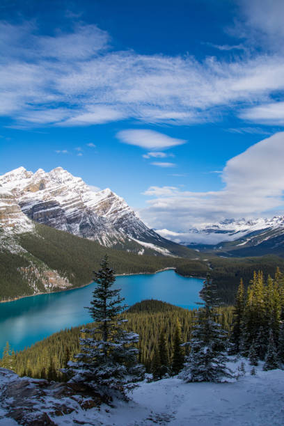 istock Peyto Lake in Canada 2192638888
