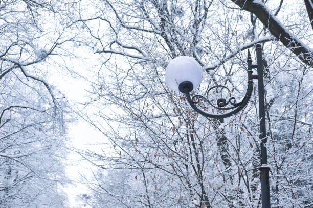 beautiful vintage lamp post surrounded by frosty tree branches in a serene winter park. The snow-covered landscape creates a peaceful and magical atmosphere.