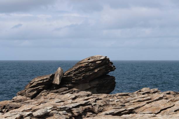 istock Rock looks alike an animal 2192642774