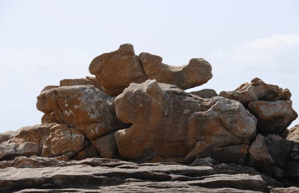 istock Rock looks alike an animal 2192642776