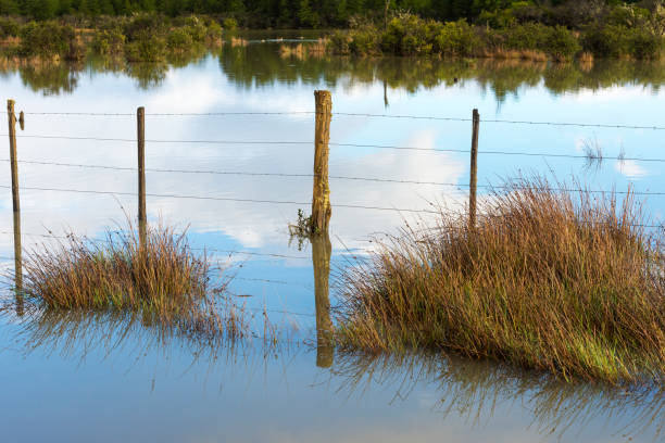 Carretera Austral Flooded prairie, Pan-American Highway, Aysen Region, Patagonia, Chile carretera austral chile stock pictures, royalty-free photos & images