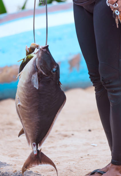 A man is hunting fish with harpoon.Bali Island - Indonesia.