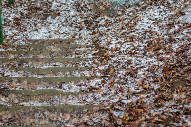 Colorful autumn leaves blanket the stone steps in a serene park setting, evoking a peaceful, seasonal atmosphere.