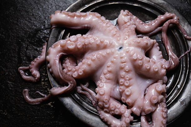 istock Fresh octopus on plate on dark background ready for cooking 2192659435