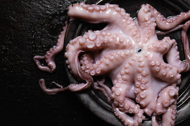 istock Fresh octopus on plate on dark background ready for cooking 2192659448