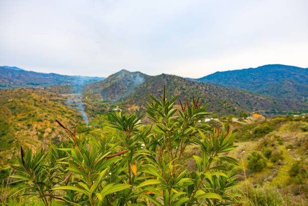 Troodos mountain landscape in Cyprus