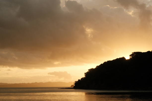 Dreamy golden hour