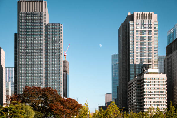 istock Urban serenity under the moon 2192664063