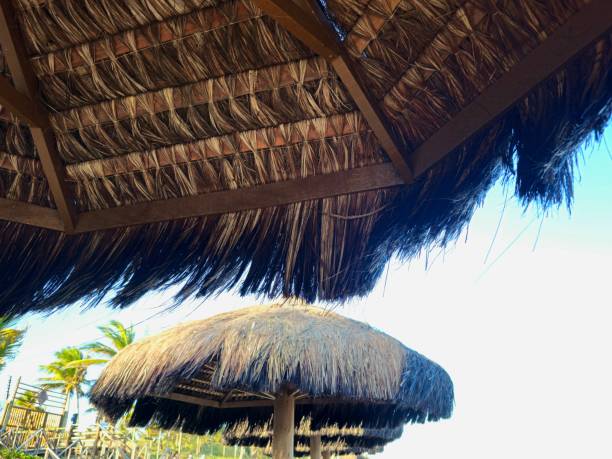 istock Thatched roof by the sea. 2192665304
