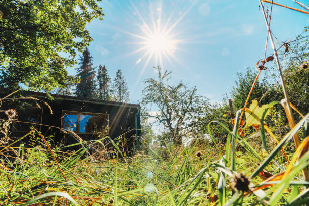 wooden garden house in wild overgrown garden in late summer