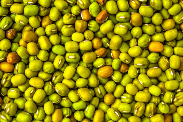 istock Background of green mung beans. 2192668300