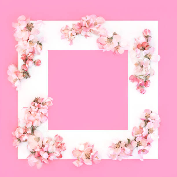 istock Apple Blossom Flower Background Border for Spring and Easter 2192670572