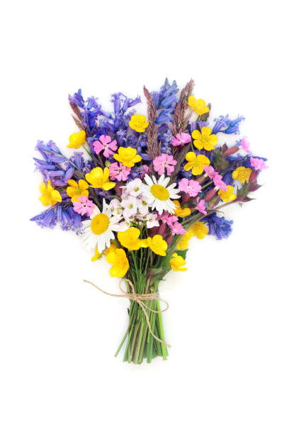 istock Spring Wildflower Beautiful Bouquet for Gift 2192670657