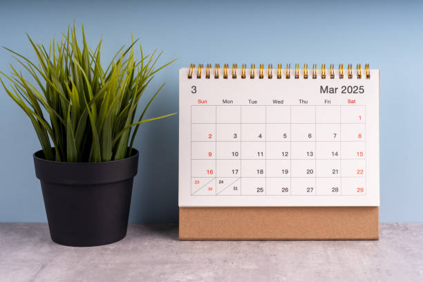 istock March 2025 calendar flat lay 2192671222