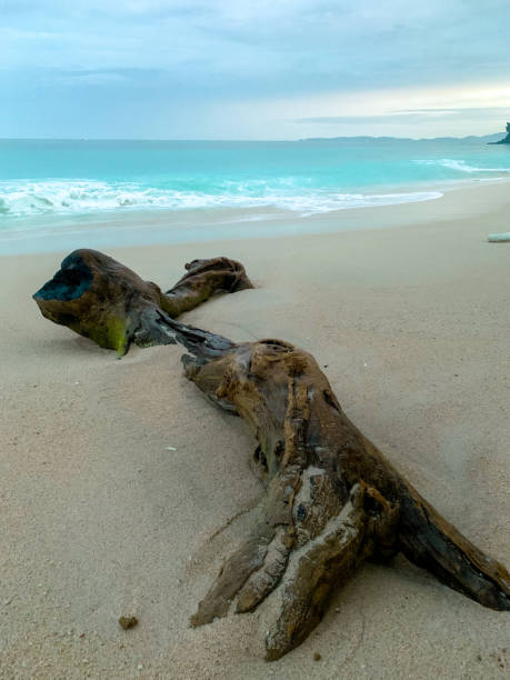 istock Whispers of the Shore at Sunset 2192676823