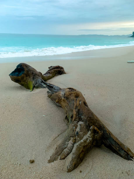 istock Whispers of the Shore at Sunset 2192676940