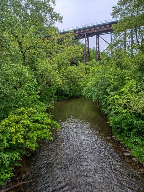 istock Small creek at rainy day 2192677147