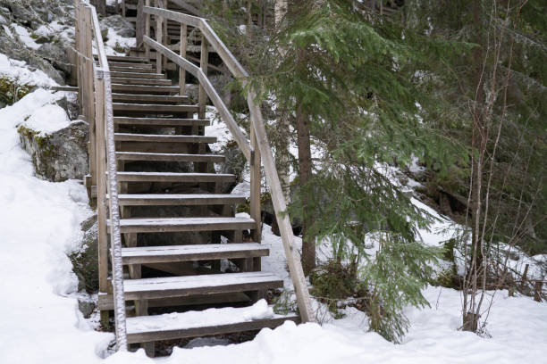Wooden steps on a frosty hiking path in a snowy forest. A great image for nature, adventure, and seasonal content.