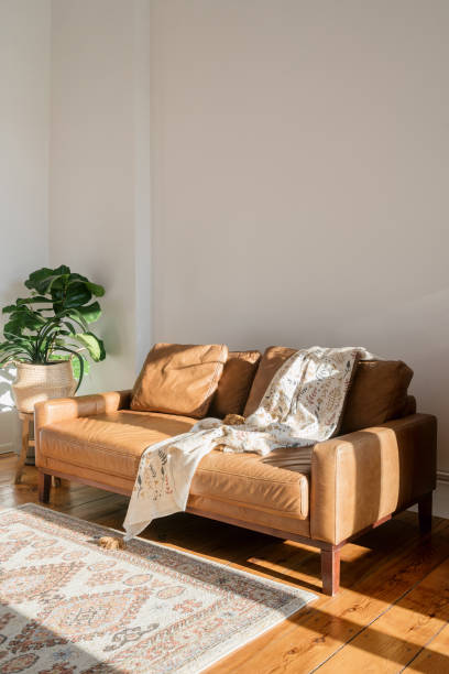 istock Modern leather sofa with stylish decor in a bright living room 2192680615
