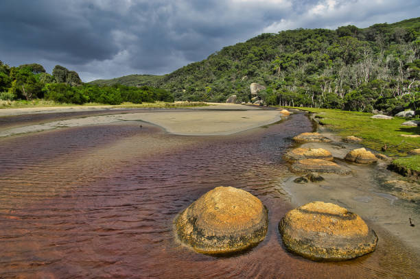 Eroded granite boulders, sand banks and forest at Tidal River, Wilsons Promontory National Park, Victoria, Australia