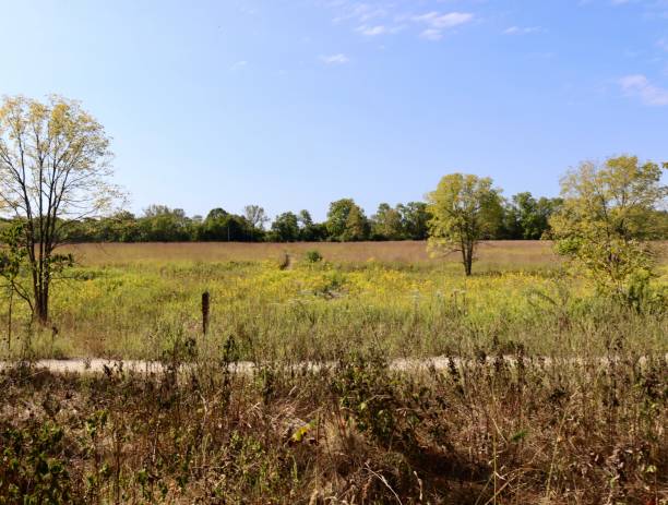 istock Field in the Countryside 2192682756