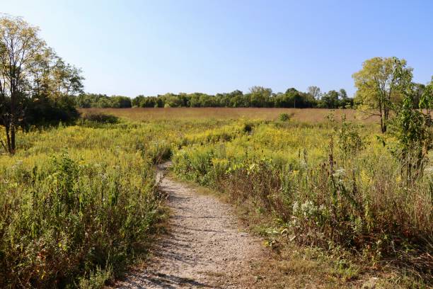 istock Trail in the Countryside 2192683604