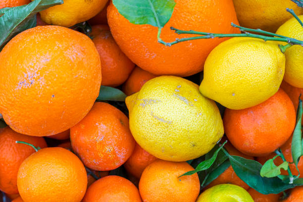 Fresh variety of organic oranges and lemons on a market stall, Italy