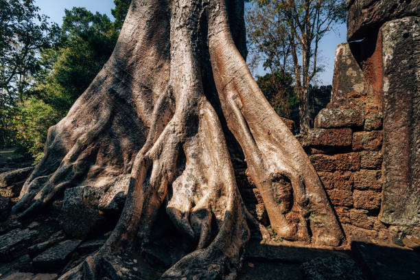 Preah Khan \