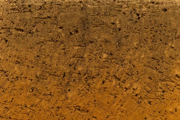 Soil Dry Textured Top View Brown Earthy Natural Surface Background