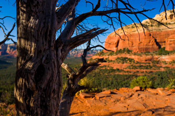 Rock formations in Sedona, Arizona, on a hike to Devil's Bridge, a papopular, naturally occurring rock bridge.\nPhotography credit Stephen J. Serio