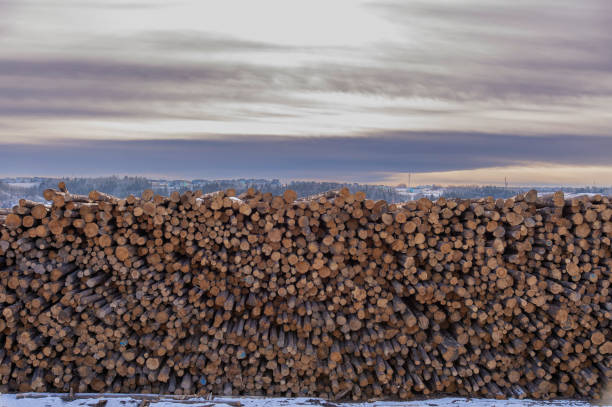 Stack of wood in lumberyard in winter, Alberta