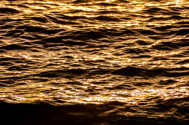 The water is dark and the sun is shining on it. The water is reflecting the sun's light and creating a beautiful, shimmering effect