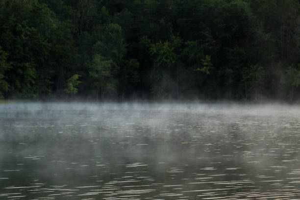 istock Early morning fog on Fall Creek Falls Lake. 2192695178
