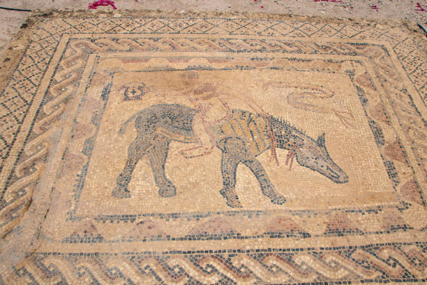 istock Archaeological Site of Volubilis 2192697426