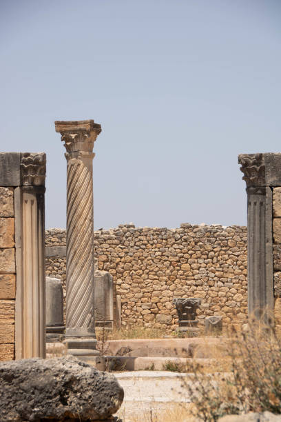 Volubilis is a partly-excavated Berber-Roman city in Morocco situated near the city of Meknes.