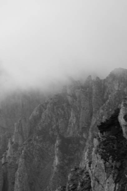 istock Sunrise over forest and mountains in mist 2192698833