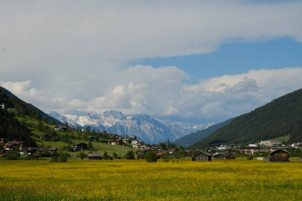 Rural landscape and snowcapped mountains
