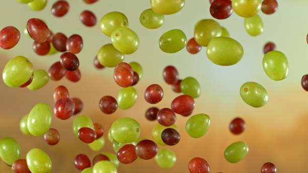 Freeze motion shot of flying fresh grapes , close-up