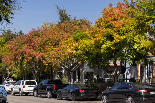 Saratoga California