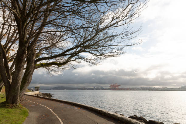 istock Stanley Park Seawall and Lions Gate Bridge 2192701040