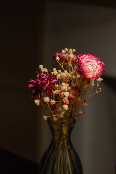 istock Dried flower still life 2192701230
