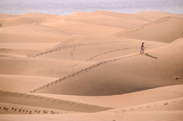 istock A person is walking through a desert with sand dunes in the background 2192712382