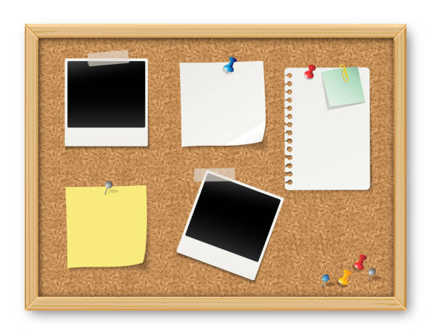 ilustraciones, imágenes clip art, dibujos animados e iconos de stock de tablón de anuncios de corcho realista en marco de madera. papel de notas, pegatinas e imágenes polaroid. - tablón de anuncios