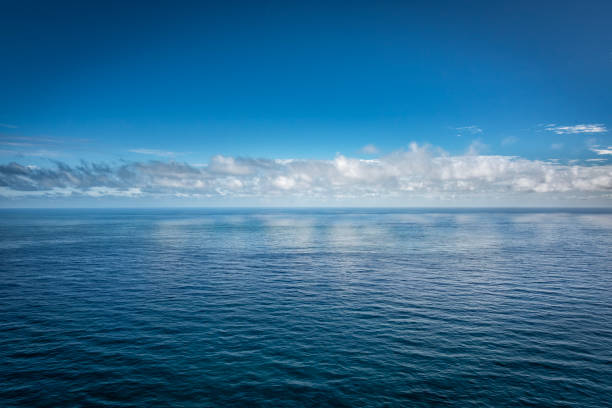 istock Horizon over the South Pacific 2192722195