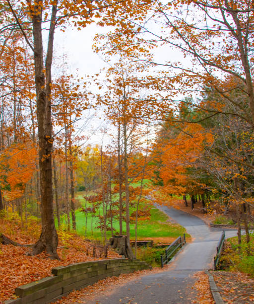istock Fall Leaf color with road and bridge-Howard County, Indiana 2192722900