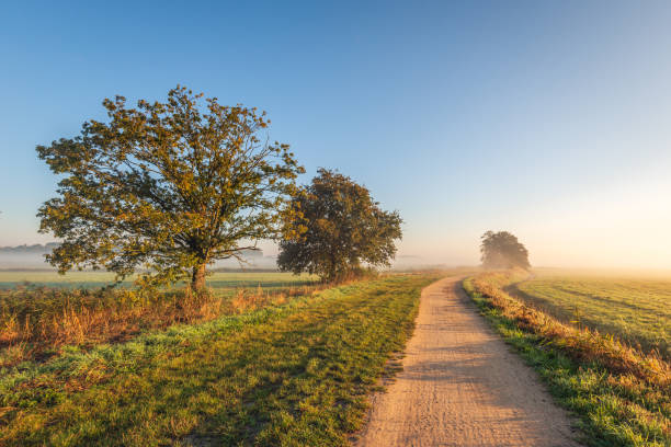 istock Meandering dirt path through an autumnal landscape 2192723965