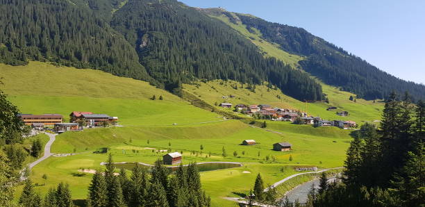 istock Green Mountain Slopes with Coniferous Forest and Blue Sky 2192724907